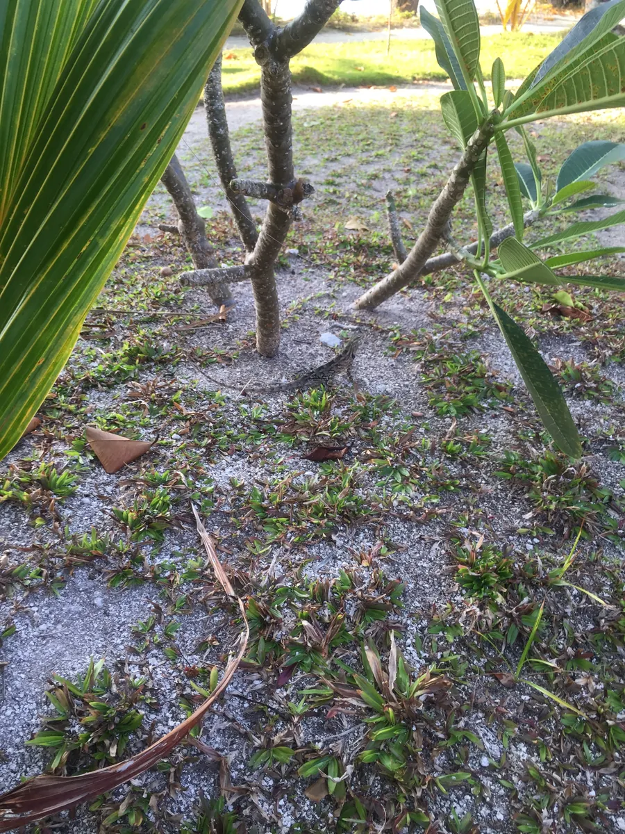 现场照片 2